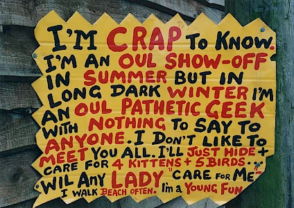 Hand-painted sign with colorful, bold text expressing self-deprecating humor, mentioning summer show-off, winter loneliness, pet care, walking on the beach, and being a young, fun person.