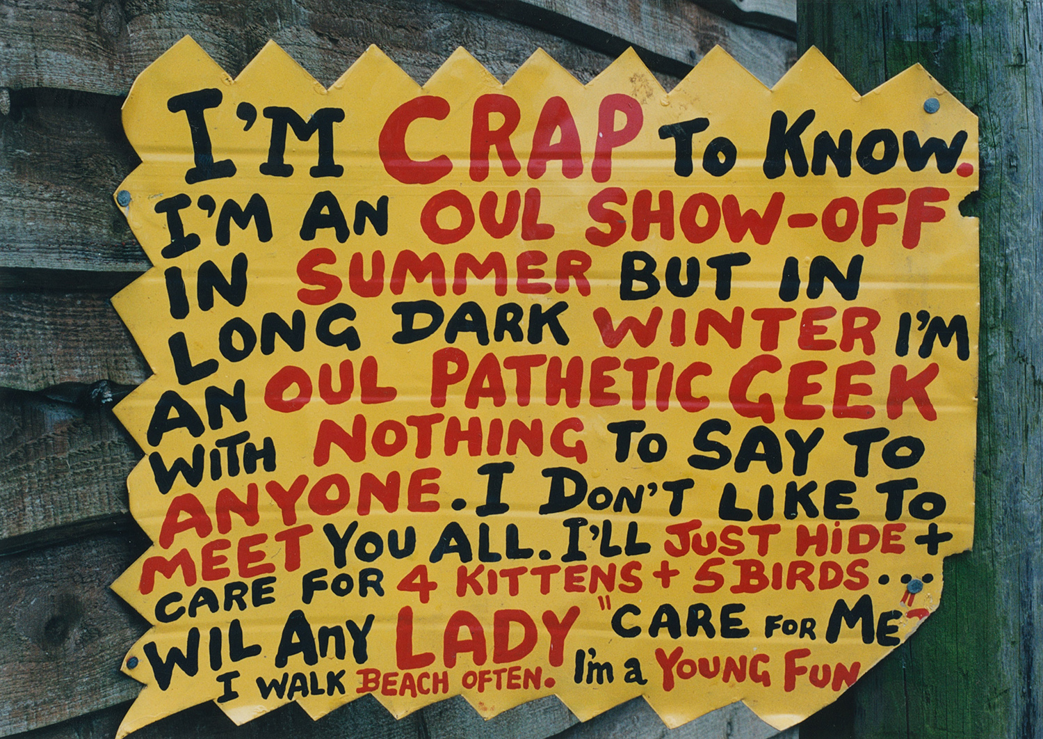 Hand-painted sign with colorful, bold text expressing self-deprecating humor, mentioning summer show-off, winter loneliness, pet care, walking on the beach, and being a young, fun person.